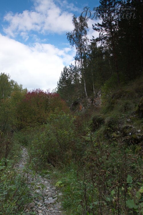 IMG_2680_r